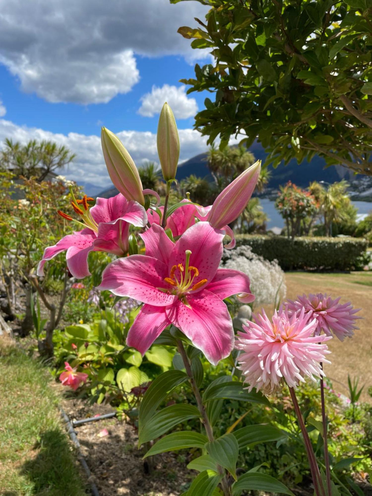 Kelvin Garden Villa Queenstown Exterior foto